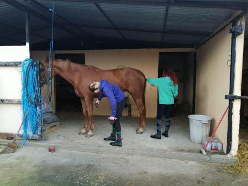 zswolborz.pl_zscku_w_wolborzu_erasmus_Sroda_13_11_2019_Grecja27