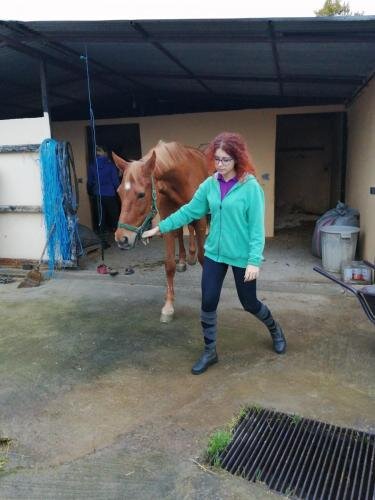 zswolborz.pl_zscku_w_wolborzu_erasmus_Sroda_13_11_2019_Grecja28