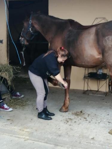 zswolborz.pl_zscku_w_wolborzu_erasmus_Sroda_13_11_2019_Grecja30