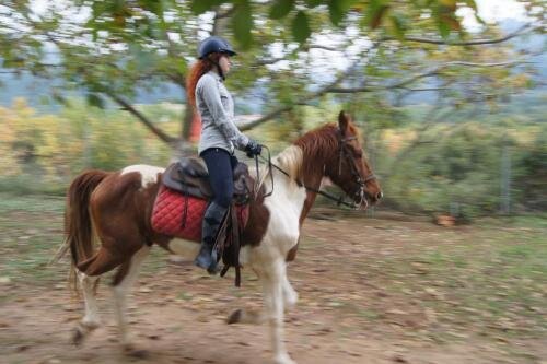 zswolborz.pl_zscku_w_wolborzu_erasmus_Wtorek_12_11_2019_Grecja10