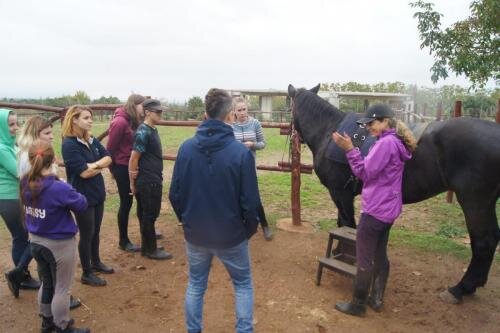 zswolborz.pl_zscku_w_wolborzu_erasmus_Wtorek_12_11_2019_Grecja16