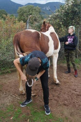 zswolborz.pl_zscku_w_wolborzu_erasmus_Wtorek_12_11_2019_Grecja2