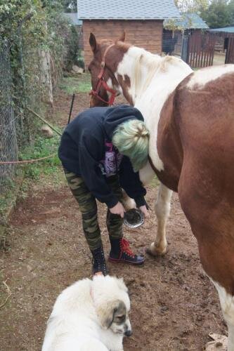 zswolborz.pl_zscku_w_wolborzu_erasmus_Wtorek_12_11_2019_Grecja3