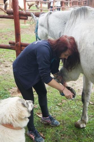 zswolborz.pl_zscku_w_wolborzu_erasmus_Wtorek_12_11_2019_Grecja4