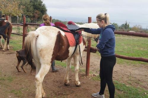 zswolborz.pl_zscku_w_wolborzu_erasmus_Wtorek_12_11_2019_Grecja7