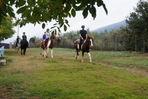 zswolborz.pl_zscku_w_wolborzu_erasmus_Wtorek_12_11_2019_Grecja9