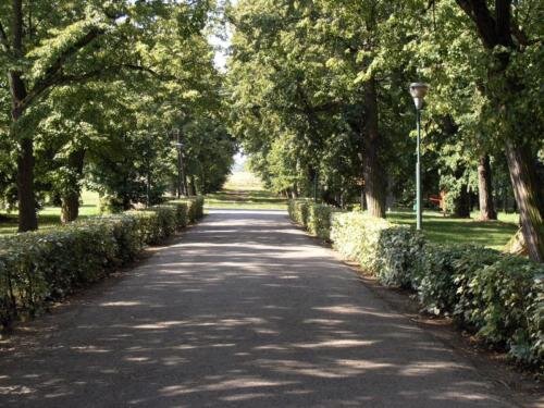 zswolborz.pl_zscku_w_wolborzu_szkola_historia36