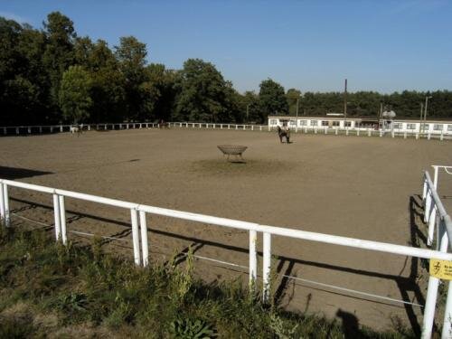 zswolborz.pl_zscku_w_wolborzu_szkola_historia39