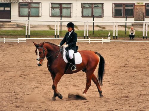 zswolborz.pl_zscku_w_wolborzu_szkola_historia40