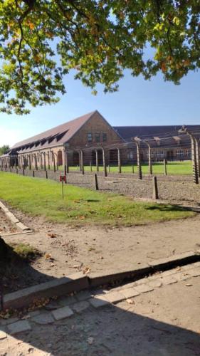 393978094 767634665167199 1719841185364616712 n