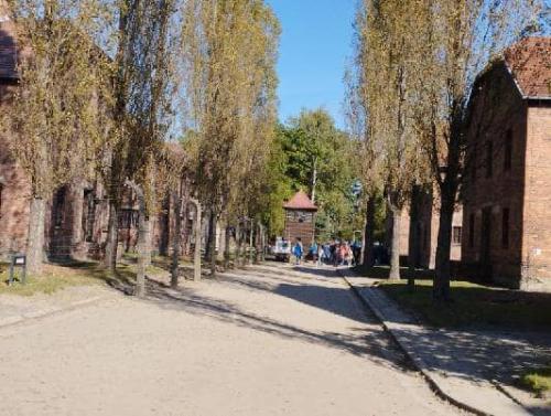 394146963 767634621833870 1501281491291537299 n