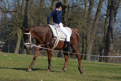 431505723 846129587317706 6457678177331658450 n