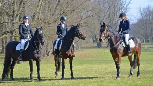 432228126 846129223984409 8249166592085315895 n