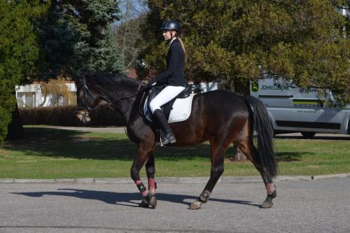 432267503 846129323984399 7955182340016176255 n