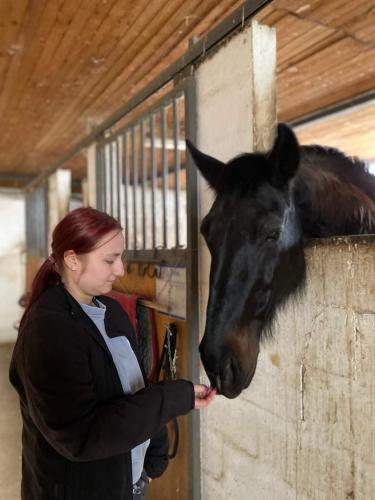 FB IMG 1713872321107