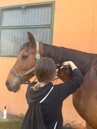 FB IMG 1713872393392