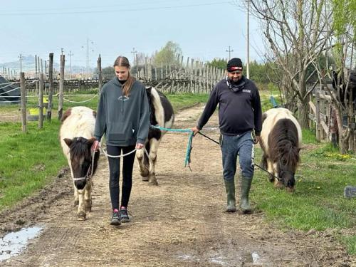 FB IMG 1713872405184