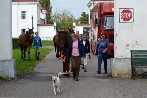 zswolborz.pl zscku w wolborzu 25-lat-thk 0-44