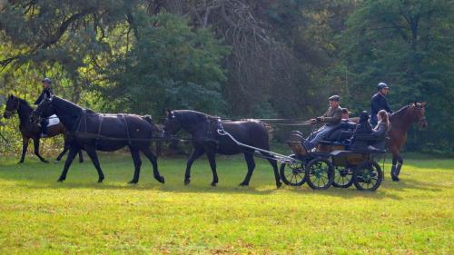 zswolborz.pl zscku w wolborzu 25-lat-thk 0-51