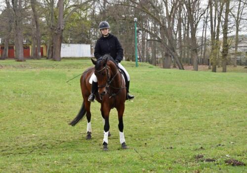 zswolborz.pl zscku w wolborzu dni otwarte kwiecien-29