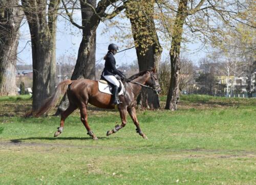 zswolborz.pl zscku w wolborzu dni otwarte kwiecien-4