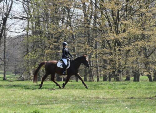 zswolborz.pl zscku w wolborzu dni otwarte kwiecien-5