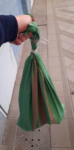 zswolborz.pl zscku w wolborzu dzien bez plecaka 1