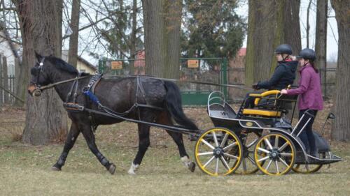 zswolborz.pl zscku w wolborzu dzien otwartych drzwi marzec-2