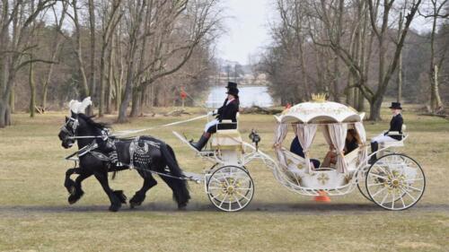 zswolborz.pl zscku w wolborzu dzien otwartych drzwi marzec-21