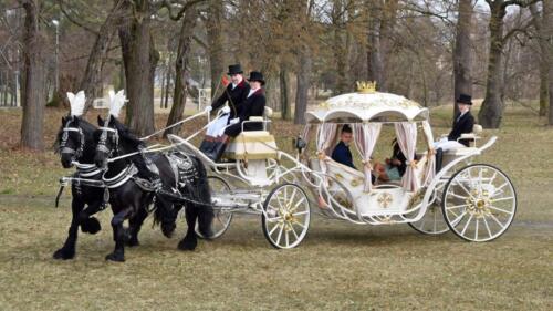 zswolborz.pl zscku w wolborzu dzien otwartych drzwi marzec-22