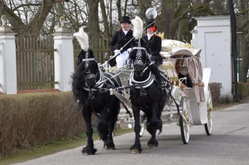 zswolborz.pl zscku w wolborzu dzien otwartych drzwi marzec-26