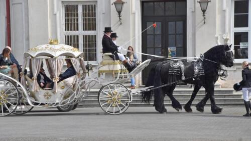 zswolborz.pl zscku w wolborzu dzien otwartych drzwi marzec-27