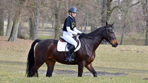 zswolborz.pl zscku w wolborzu dzienotwarty03-23 0-12