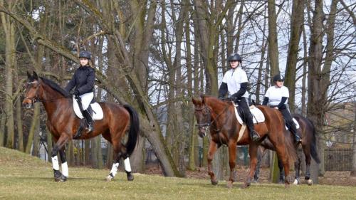 zswolborz.pl zscku w wolborzu dzienotwarty03-23 0-14