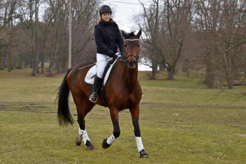 zswolborz.pl zscku w wolborzu dzienotwarty03-23 0-16