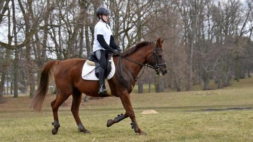 zswolborz.pl zscku w wolborzu dzienotwarty03-23 0-17