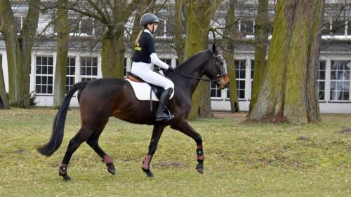 zswolborz.pl zscku w wolborzu dzienotwarty03-23 0-18