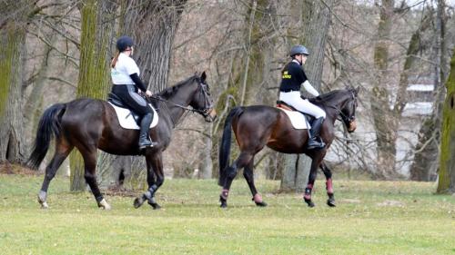 zswolborz.pl zscku w wolborzu dzienotwarty03-23 0-19