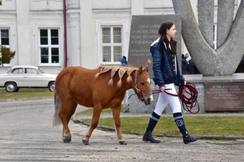 zswolborz.pl zscku w wolborzu dzienotwarty03-23 0-25