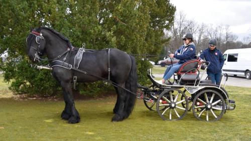 zswolborz.pl zscku w wolborzu dzienotwarty03-23 0-28