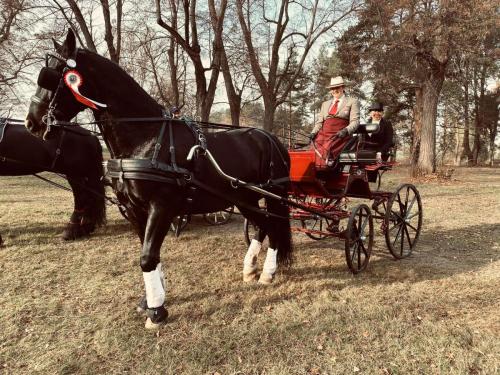 zswolborz.pl zscku w wolborzu hubertus11-22-26