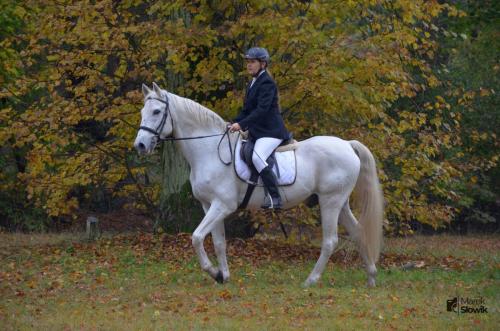 zswolborz.pl zscku w wolborzu hubertus23 07