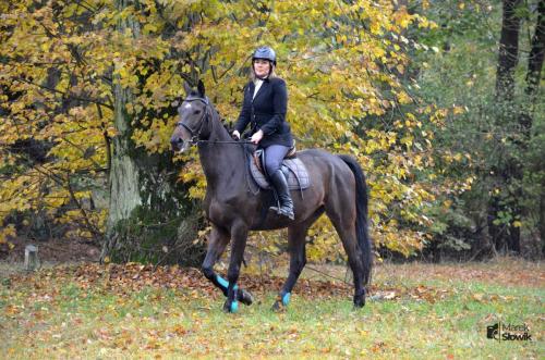 zswolborz.pl zscku w wolborzu hubertus23 08