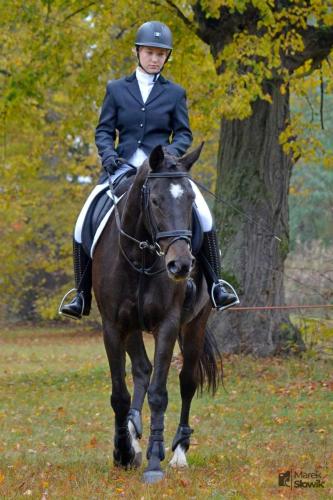 zswolborz.pl zscku w wolborzu hubertus23 09