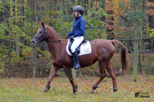 zswolborz.pl zscku w wolborzu hubertus23 11