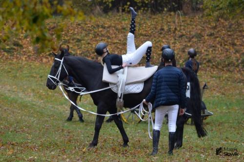 zswolborz.pl zscku w wolborzu hubertus23 12