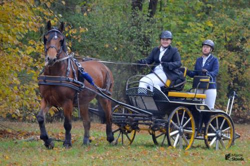 zswolborz.pl zscku w wolborzu hubertus23 13