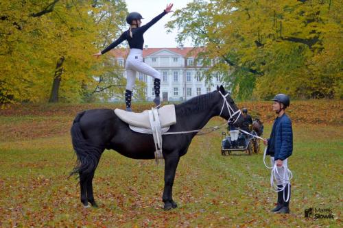 zswolborz.pl zscku w wolborzu hubertus23 23