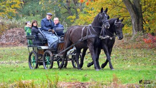 zswolborz.pl zscku w wolborzu hubertus23 27