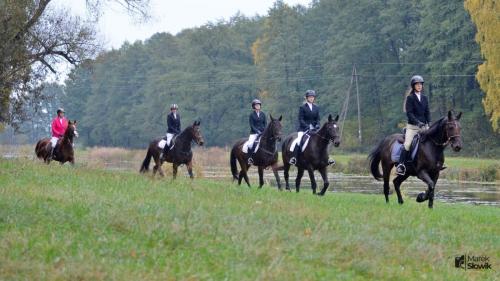 zswolborz.pl zscku w wolborzu hubertus23 30